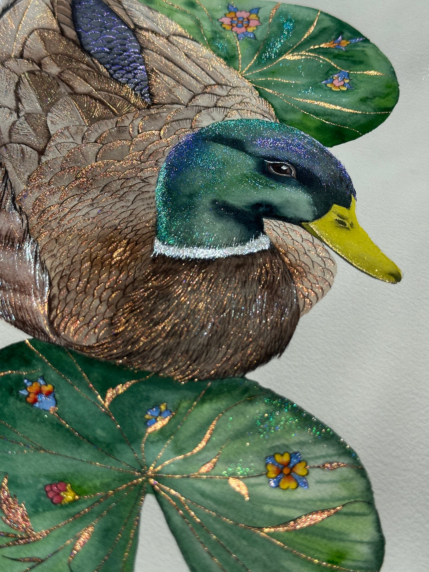 Shimmering Mallard Duck