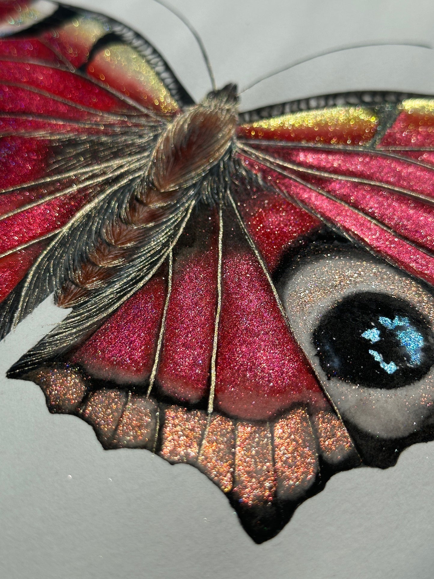European Peacock Butterfly_ Sold