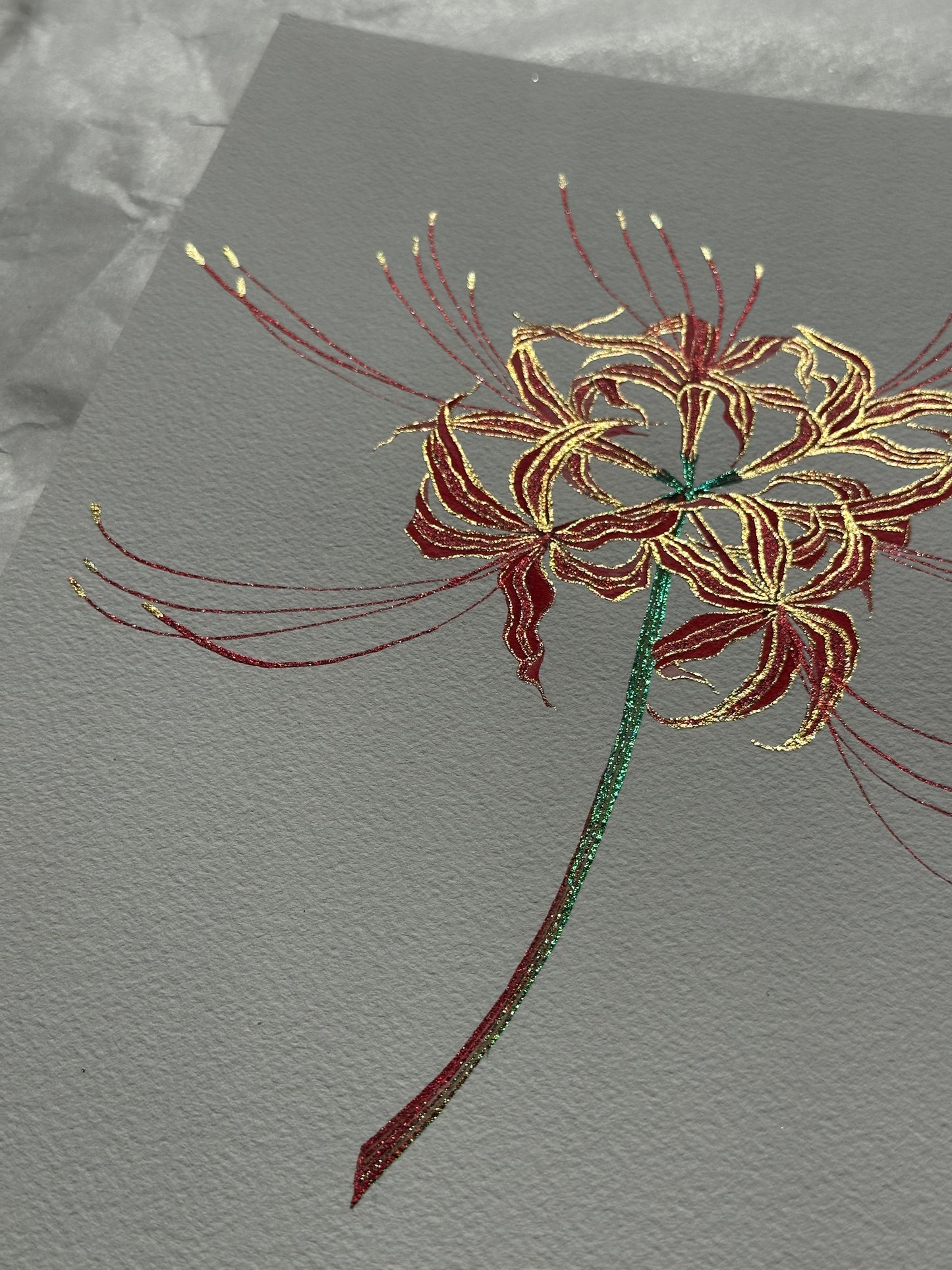 Glow of the Spider Lily