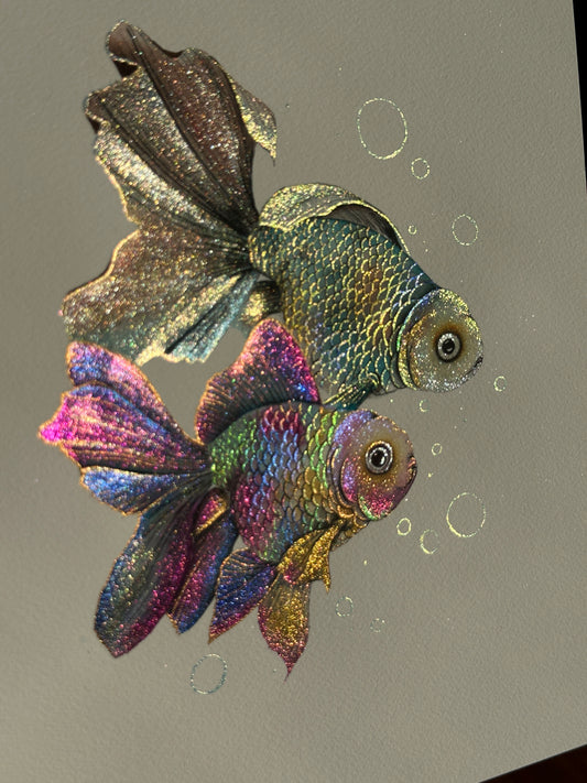 Rainbow fish