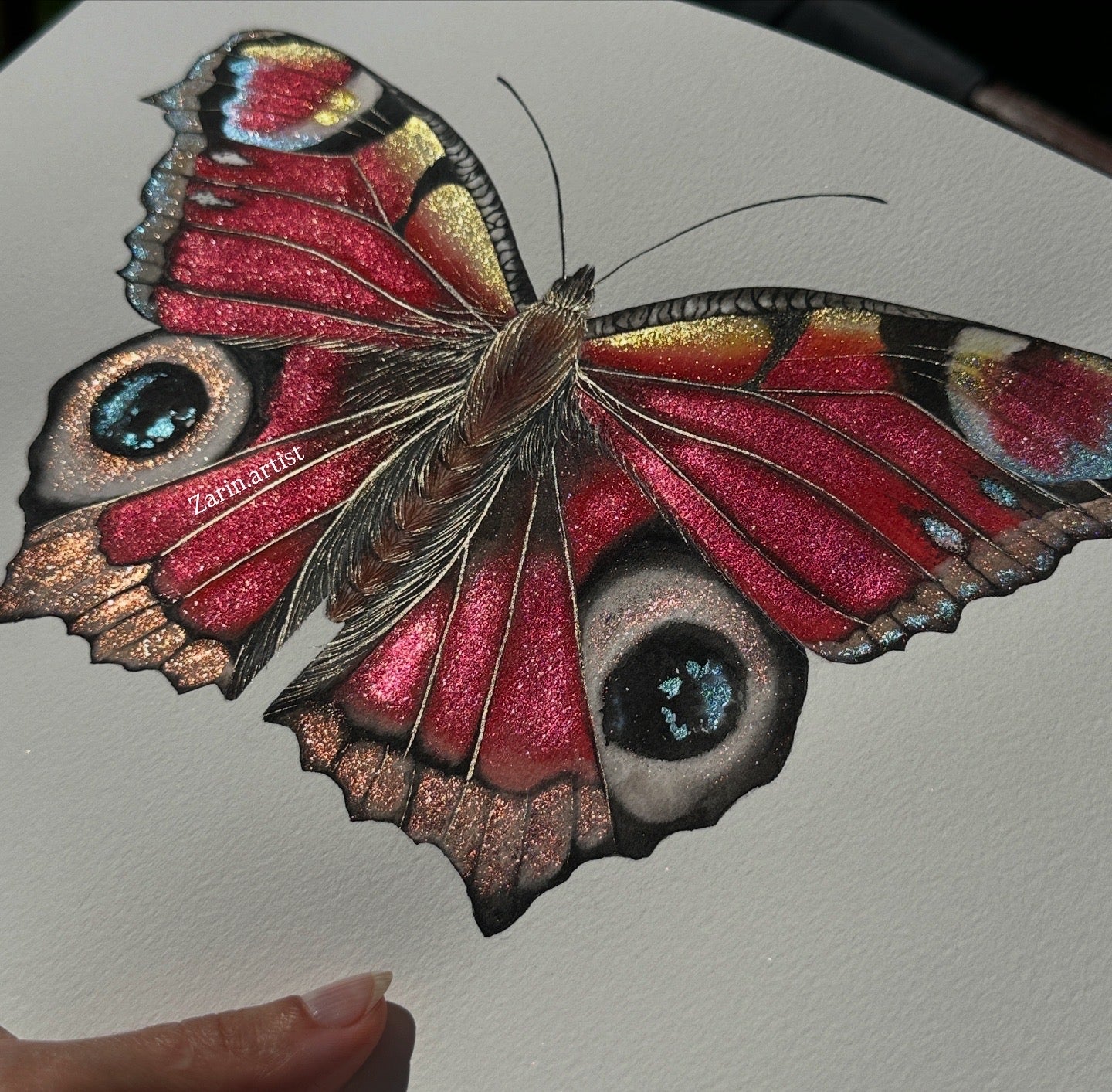 European Peacock Butterfly_ Sold