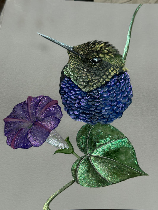 shimmering hummingbird