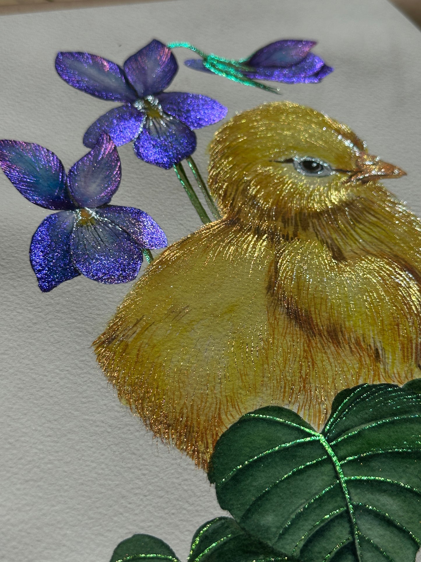 Golden Chick & Wild Violets