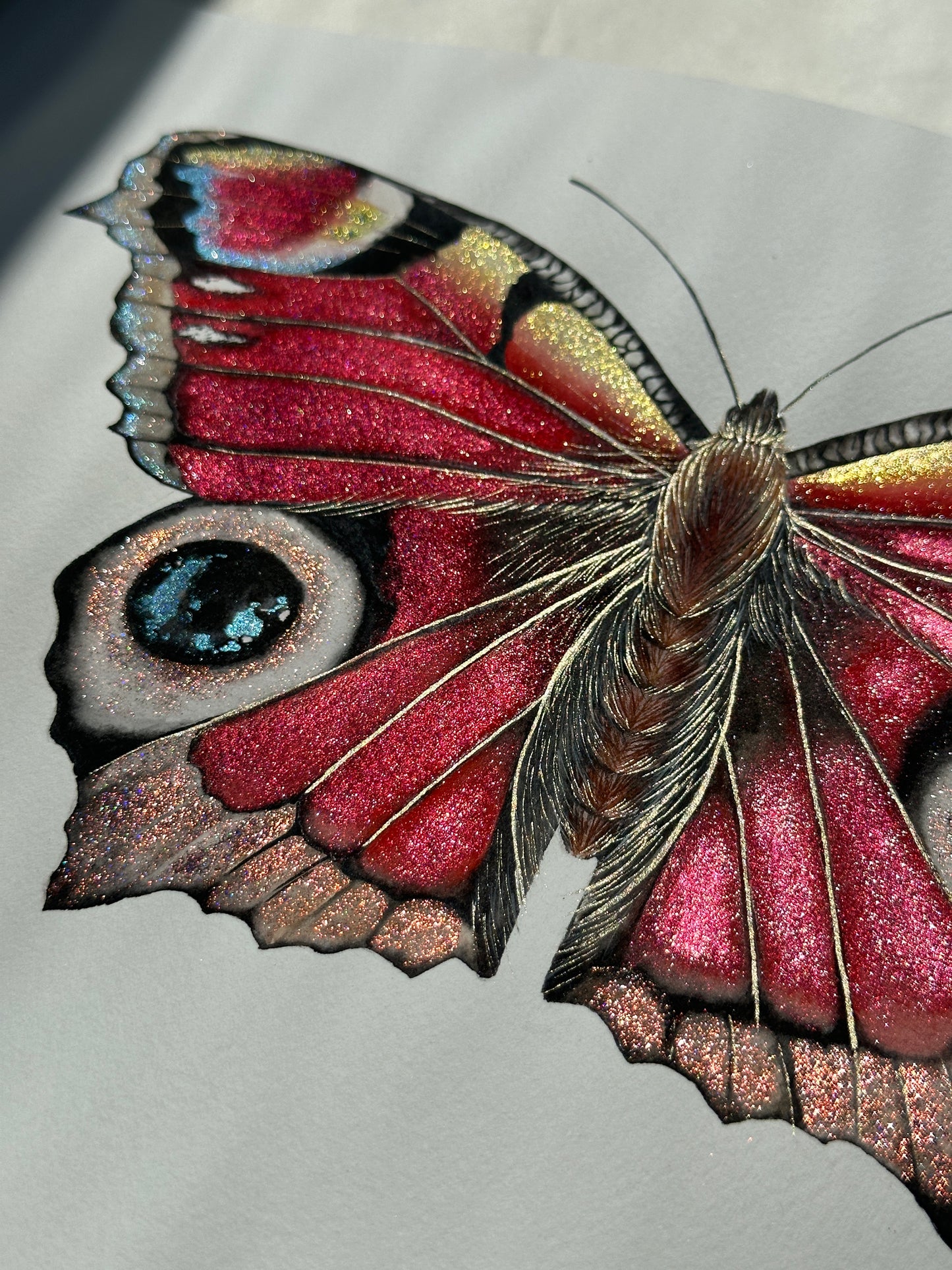 European Peacock Butterfly_ Sold