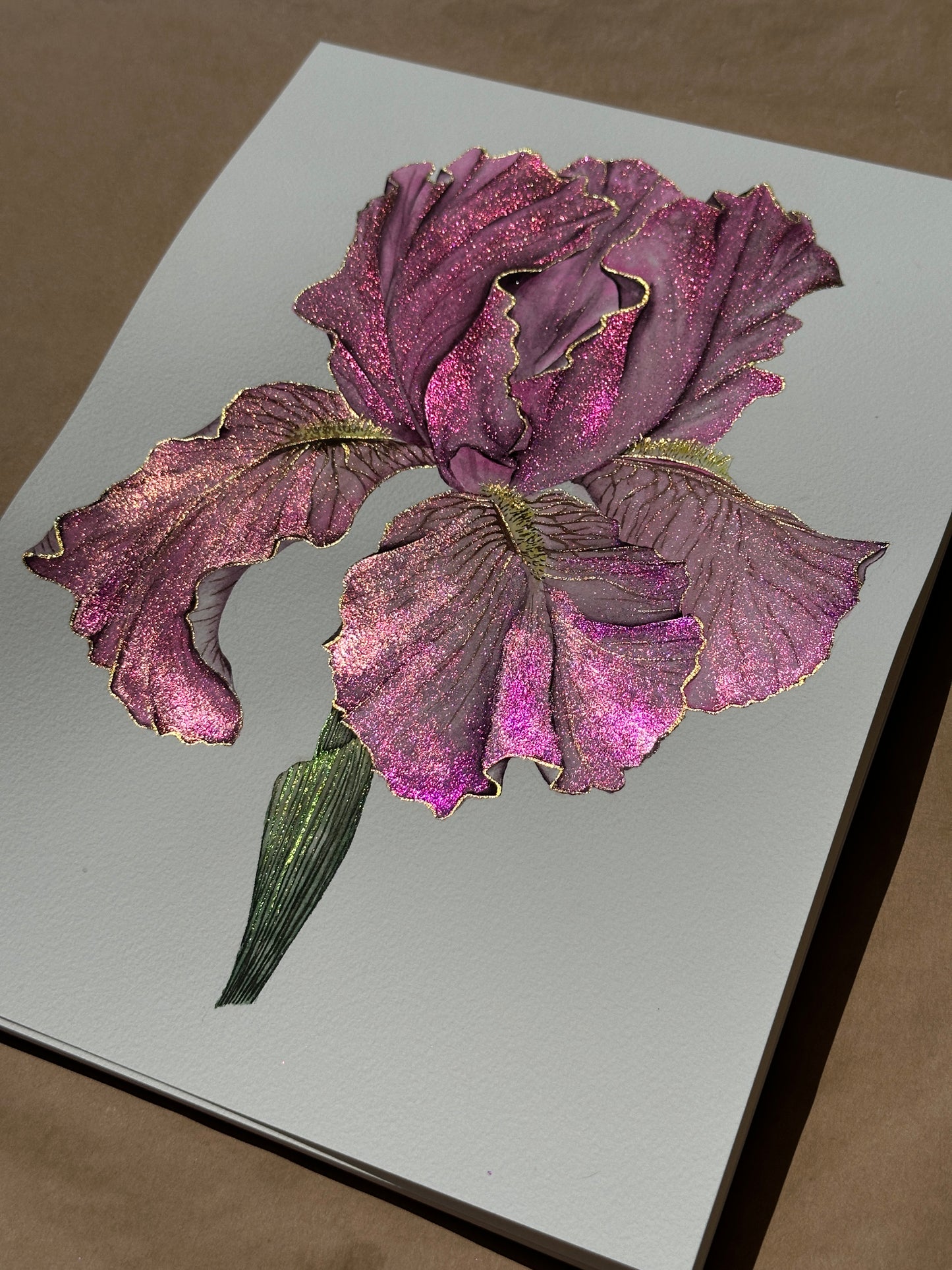 Shimmering pink iris