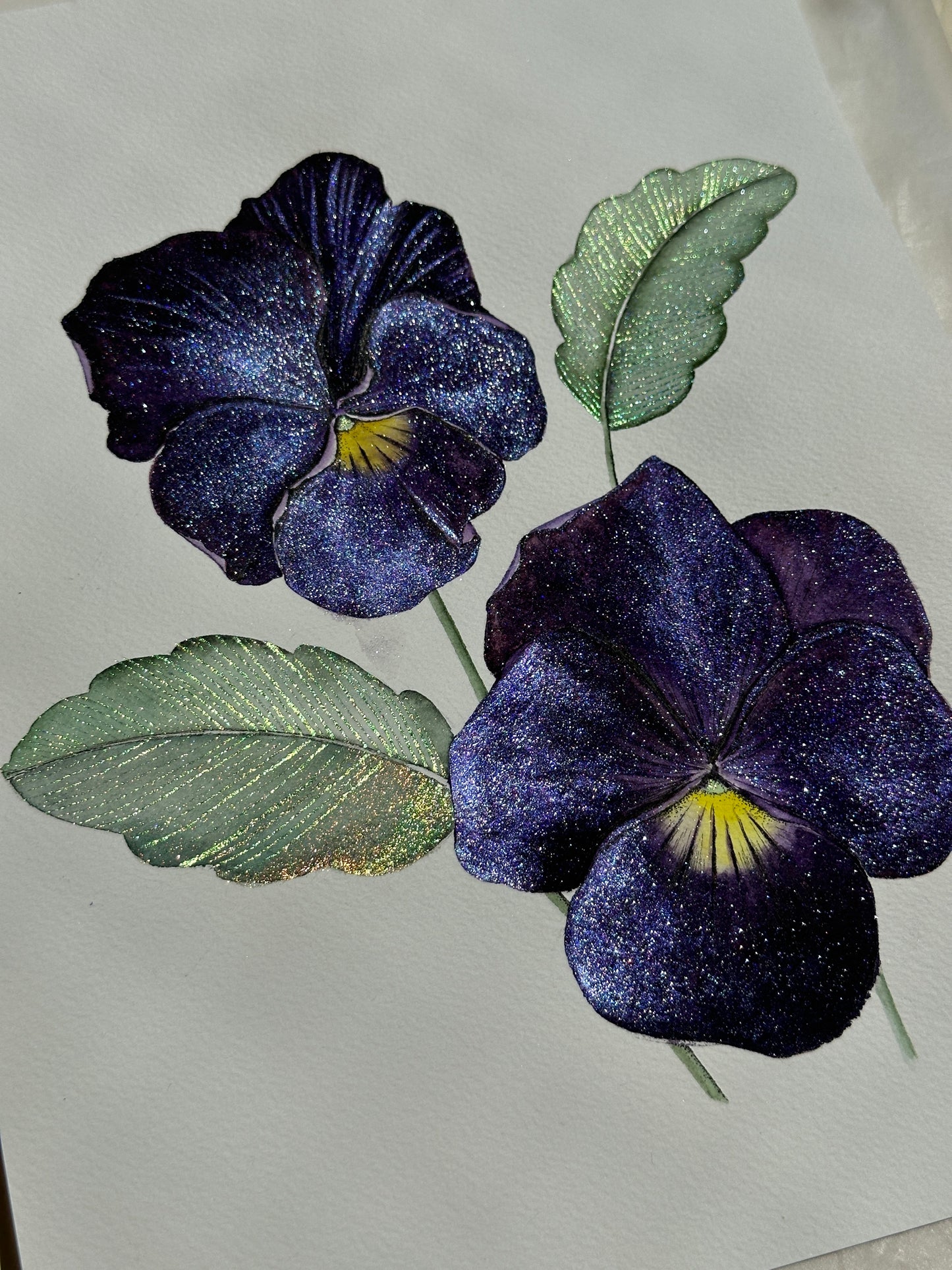 Midnight Pansy Glow
