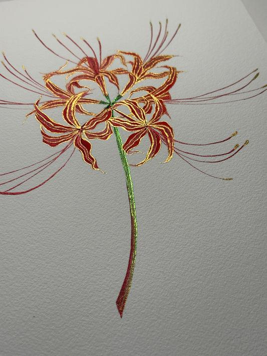 Glow of the Spider Lily