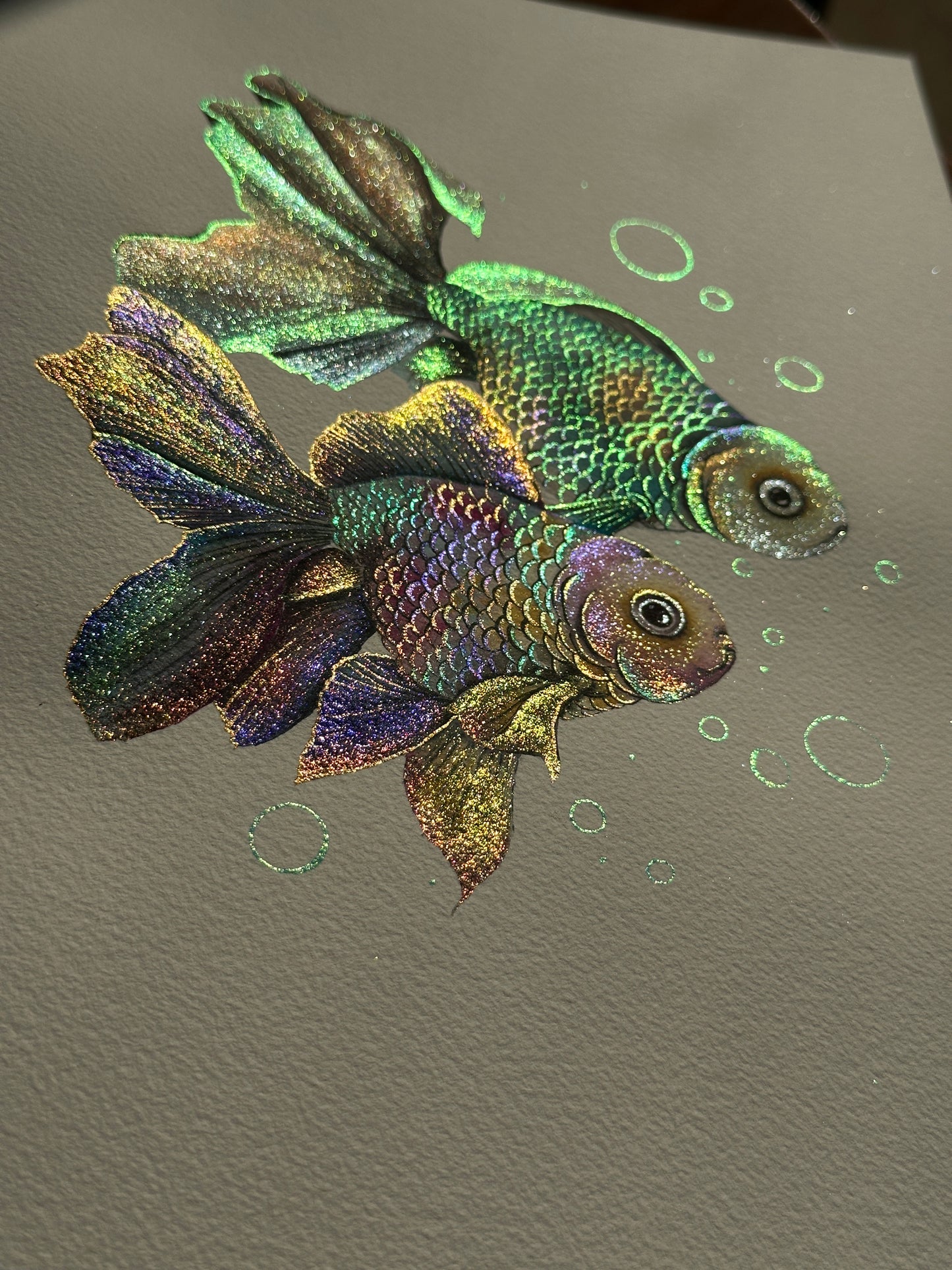 Rainbow fish