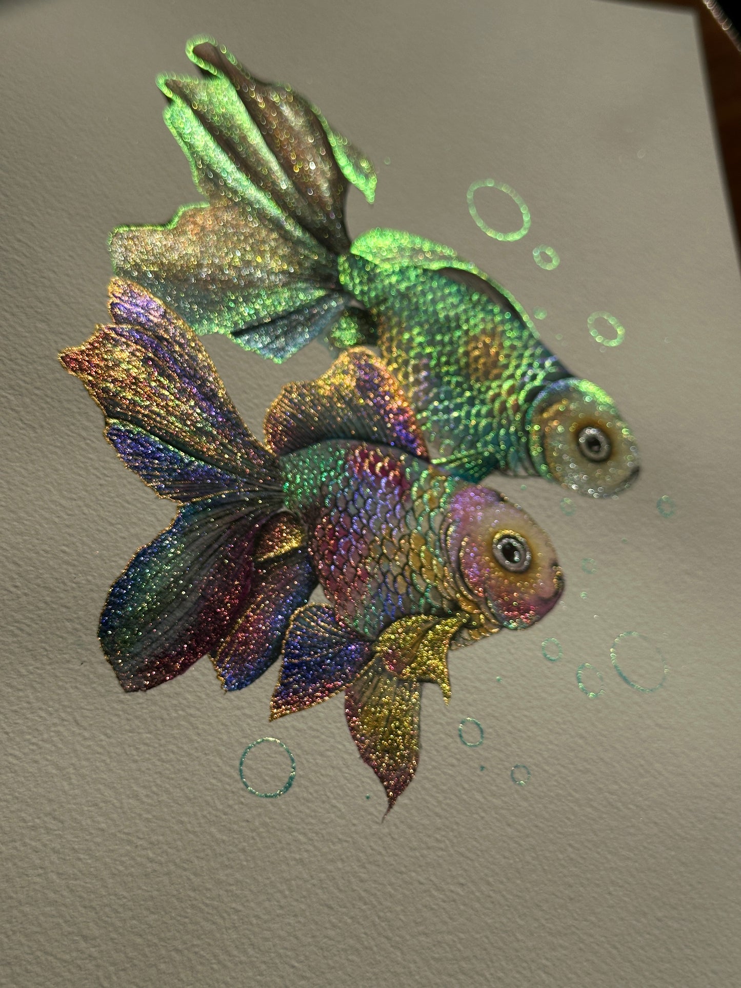 Rainbow fish