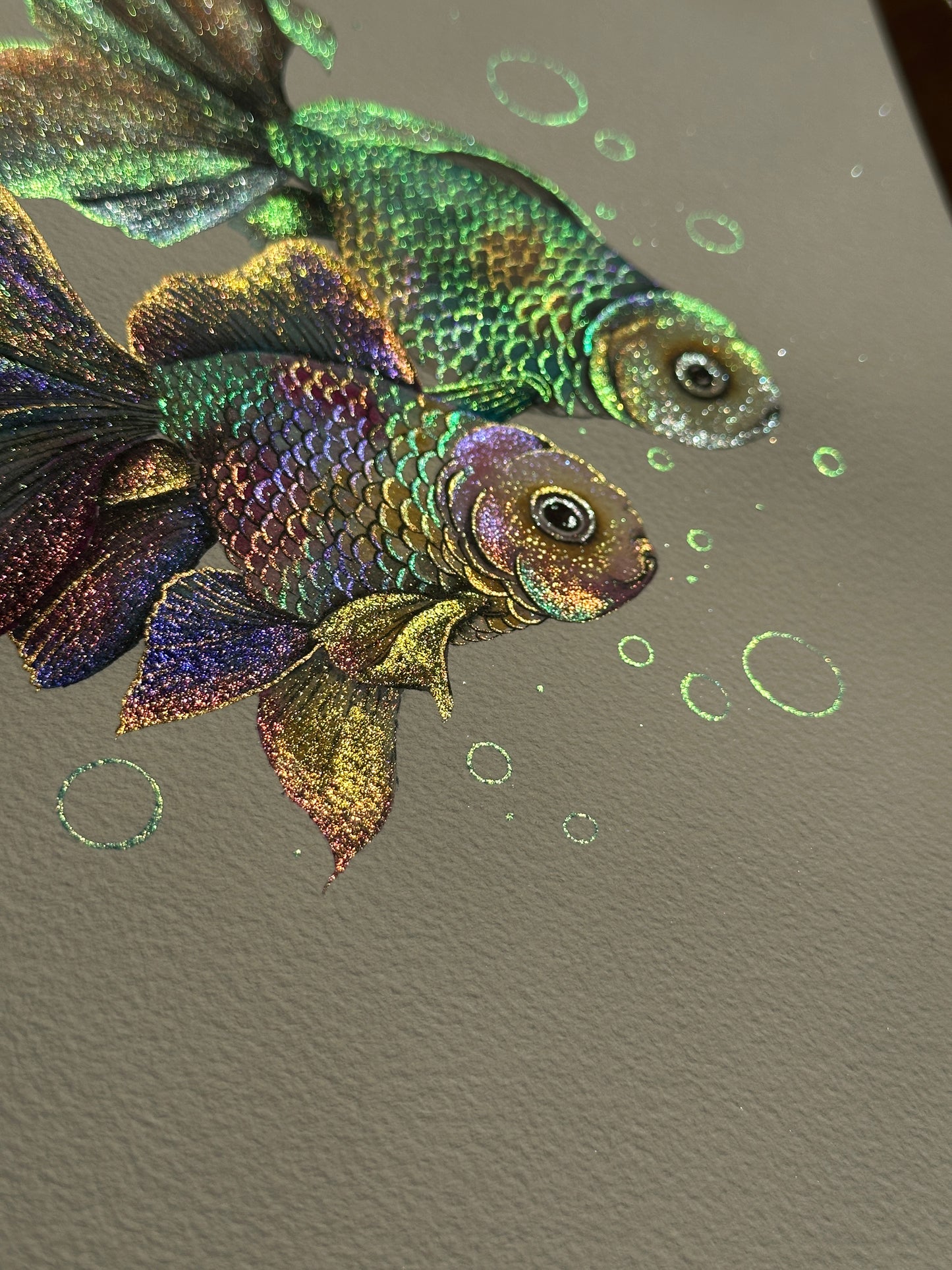 Rainbow fish
