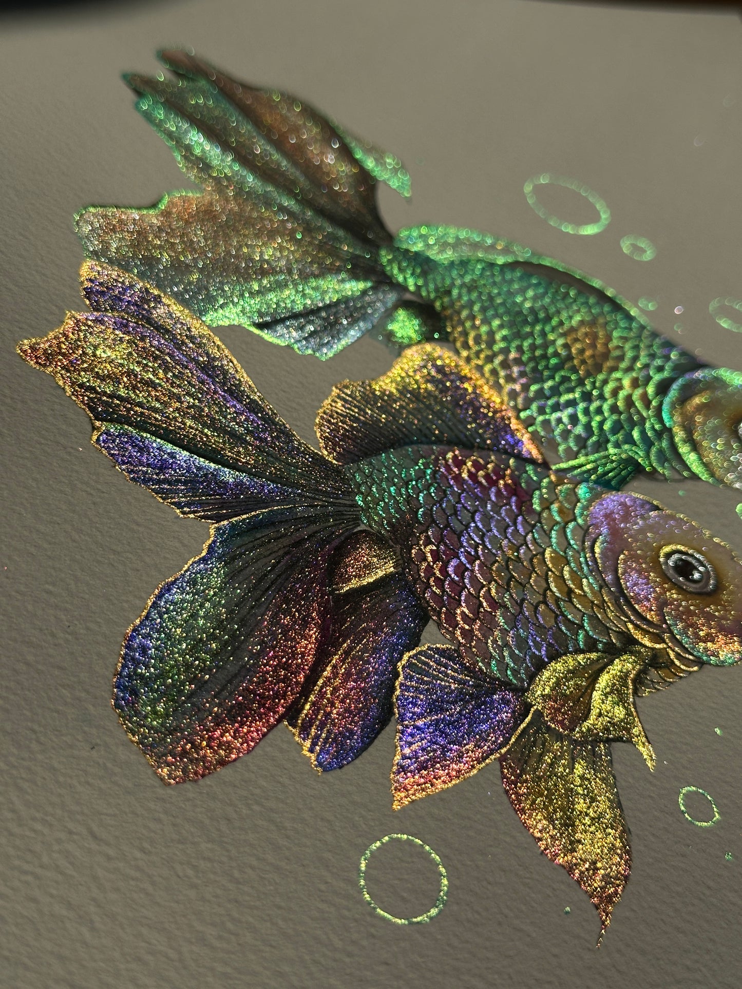 Rainbow fish