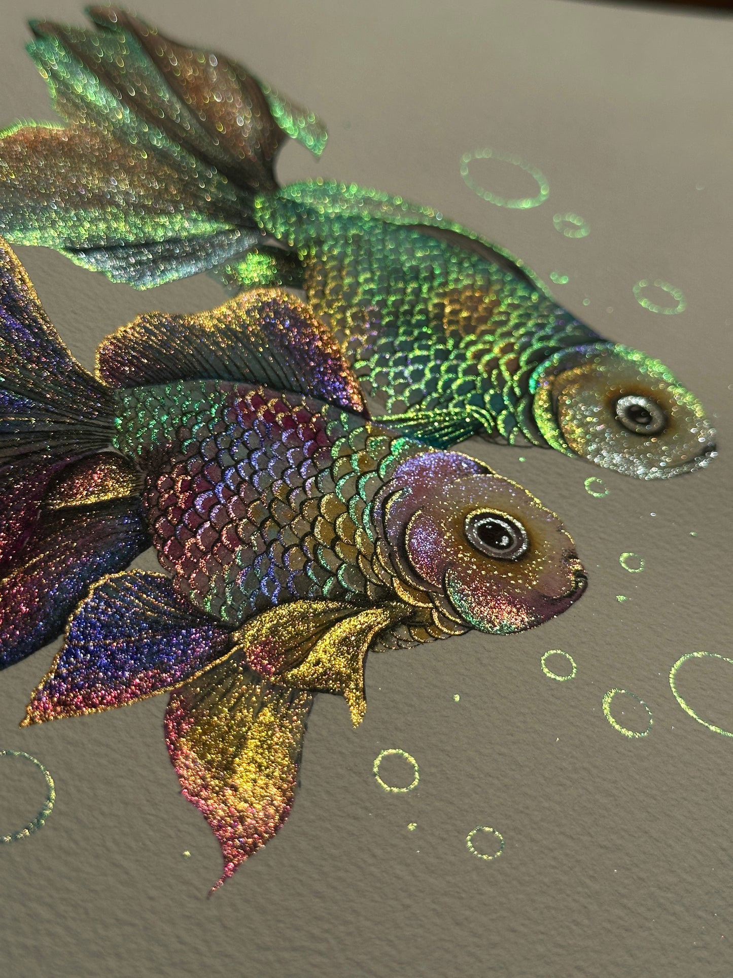 Rainbow fish
