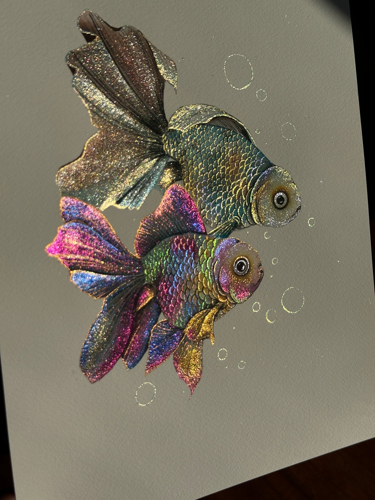 Rainbow fish
