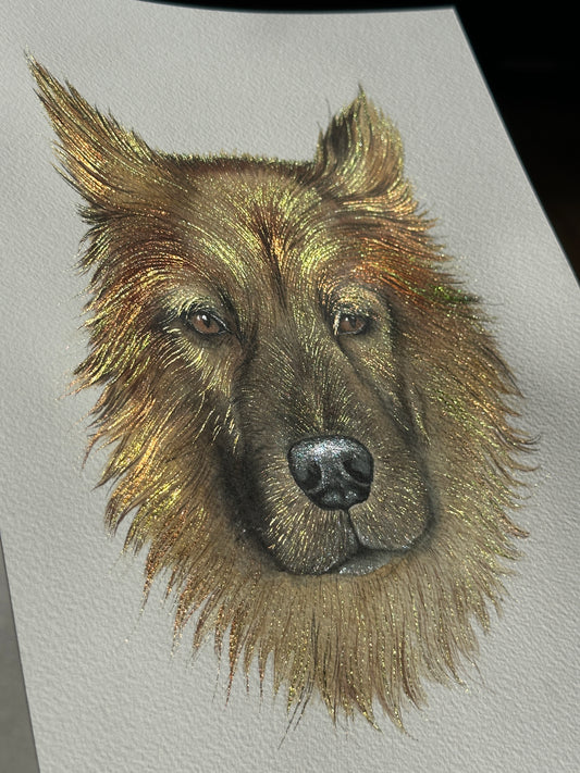 Golden Companion – Sold